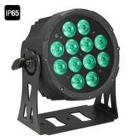 Cameo NEW Outdoor FLAT PRO PAR CAN 12 IP65 - 12 x 10 W FLAT LED Outdoor RGBWA PAR light in black housing